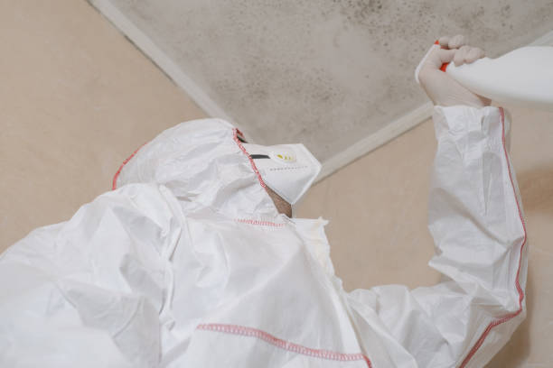 Best Kitchen Mold Remediation in Tishomingo, OK