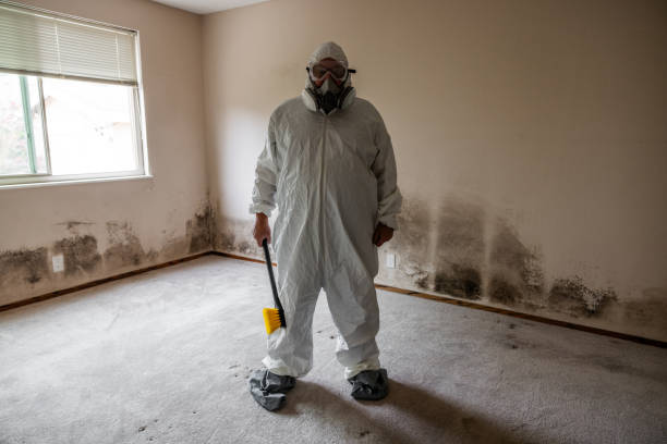 Best Residential Mold Remediation in Tishomingo, OK